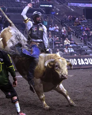 Pbr - Professional Bull Riders Rosemont